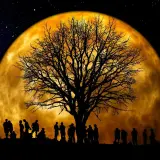 Silhouettes de personnes sous un arbre nu, devant une immense lune orangée. Une scène mystique pour jardiner avec la lune.