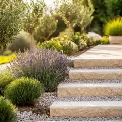 Un magnifique jardin sec avec des oliviers, de la lavande et des buissons verts, menant à des marches en pierre.