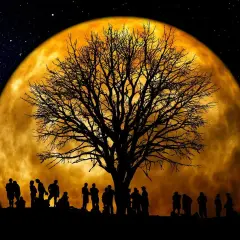 Silhouettes de personnes sous un arbre nu, devant une immense lune orangée. Une scène mystique pour jardiner avec la lune.