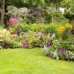 Un jardin luxuriant débordant de fleurs colorées, de roses roses, de digitales violettes et de marguerites jaunes.