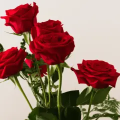 Cinq roses rouges, symbole d'amour passionné. Un bouquet pour exprimer des sentiments profonds.