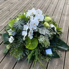 Un arrangement floral blanc et vert, composé d'orchidées, de roses et d'anthuriums, évoque un coussin de deuil moderne.