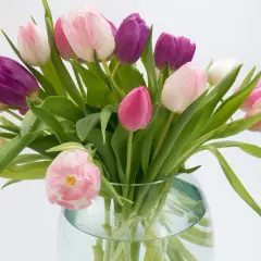 Un bouquet de tulipes ouvertes, roses et violettes, dans un vase en verre.
