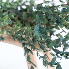 Des branches d'eucalyptus aux feuilles bleutées sont posées sur un support en bois clair, prêtes à faire sécher.