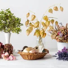 Composition de fleurs séchées, lanternes chinoises et feuillage vert, prête à cultiver des fleurs à sécher pour des bouquets durables.