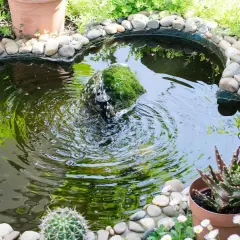 Une petite fontaine moussue anime ce bassin extérieur. Une belle idée aménagement bassin extérieur avec des galets et des plantes succulentes.