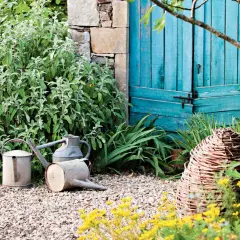 Un coin de jardin charmant avec des arrosoirs anciens, une porte bleue et des plantes luxuriantes, parfait pour créer un massif sans entretien.