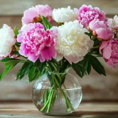Un bouquet de pivoines roses et blanches dans un vase en verre. La pivoine blanche signification évoque la pureté et la beauté.