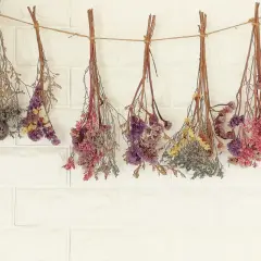 Des bouquets de fleurs séchées, aux teintes roses, violettes et jaunes, sont suspendus à une corde. Une méthode naturelle pour faire sécher des fleurs avec du sel.
