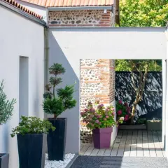 Aménagement terrasse devant maison : olivier, conifères et hortensias en pots, créant un espace extérieur moderne et accueillant.