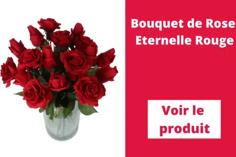 Un bouquet de roses éternelles rouges, symbole d'amour et de pardon. Combien de rose pour le pardon ?