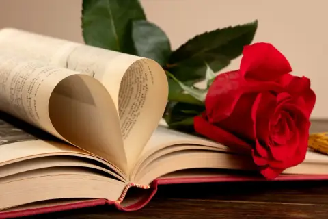 Un livre ouvert forme un cœur avec ses pages. Une rose rouge repose à côté, symbolisant l'amour et la passion. Que signifie la rose ? L'amour éternel, peut-être.