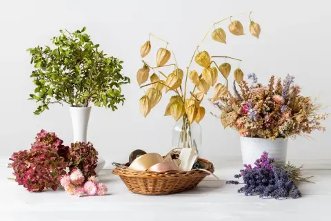 Composition de fleurs séchées, lanternes chinoises et feuillage vert, prête à cultiver des fleurs à sécher pour des bouquets durables.