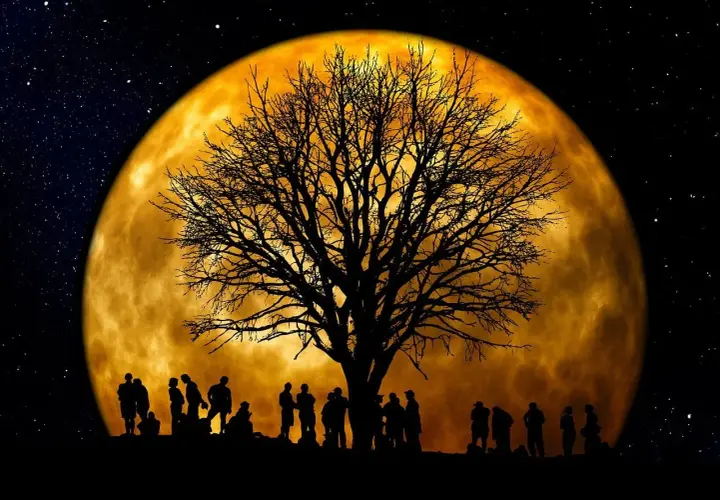Silhouettes de personnes sous un arbre nu, devant une immense lune orangée. Une scène mystique pour jardiner avec la lune.