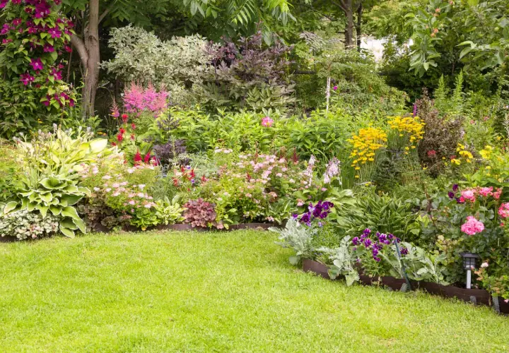Un jardin luxuriant débordant de fleurs colorées, de roses roses, de digitales violettes et de marguerites jaunes.