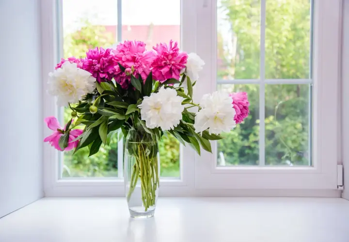 Un bouquet de pivoines roses et blanches dans un vase en verre sur un rebord de fenêtre. Astuces pour comment conserver un bouquet de fleurs.