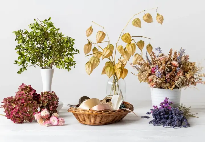 Composition de fleurs séchées, lanternes chinoises et feuillage vert, prête à cultiver des fleurs à sécher pour des bouquets durables.