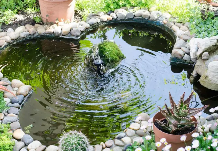 Une petite fontaine moussue anime ce bassin extérieur. Une belle idée aménagement bassin extérieur avec des galets et des plantes succulentes.