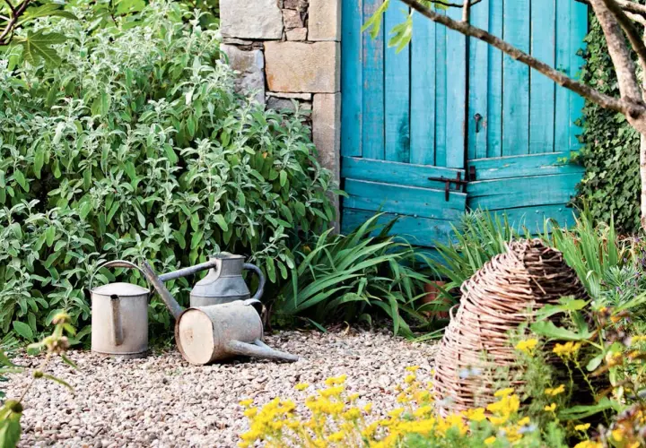 Un coin de jardin charmant avec des arrosoirs anciens, une porte bleue et des plantes luxuriantes, parfait pour créer un massif sans entretien.