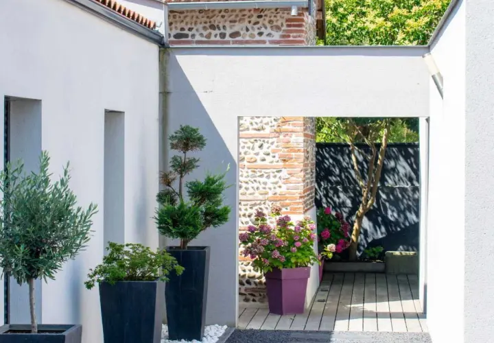 Aménagement terrasse devant maison : olivier, conifères et hortensias en pots, créant un espace extérieur moderne et accueillant.