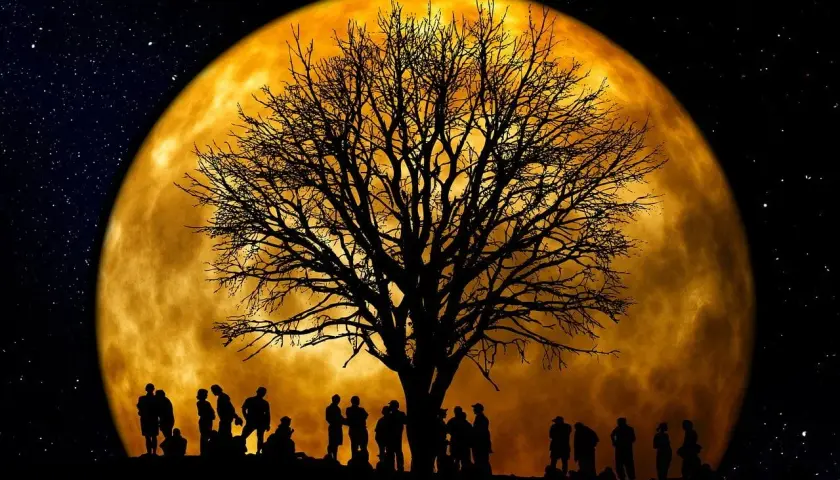 Silhouettes de personnes sous un arbre nu, devant une immense lune orangée. Une scène mystique pour jardiner avec la lune.