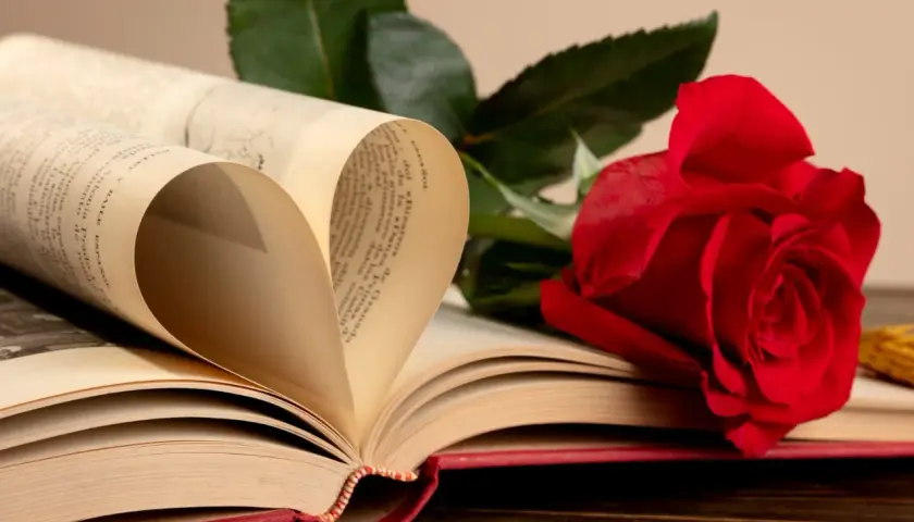 Un livre ouvert forme un cœur avec ses pages. Une rose rouge repose à côté, symbolisant l'amour et la passion. Que signifie la rose ? L'amour éternel, peut-être.