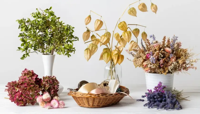 Composition de fleurs séchées, lanternes chinoises et feuillage vert, prête à cultiver des fleurs à sécher pour des bouquets durables.