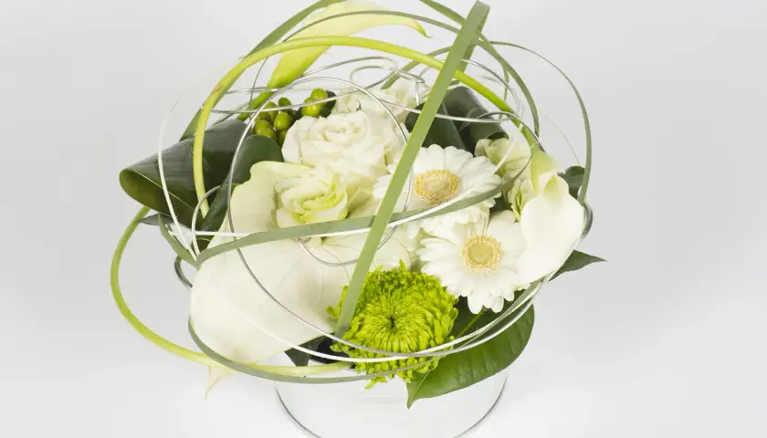 Une composition florale ronde, moderne et épurée, mêlant roses blanches, gerberas, callas et une touche de vert vif.
