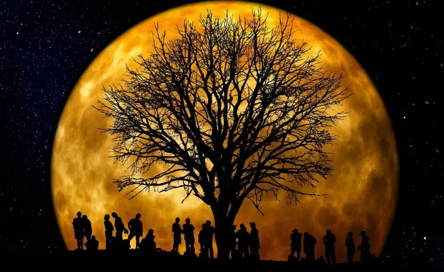 Jardiner avec la lune sans perdre le sens pratique