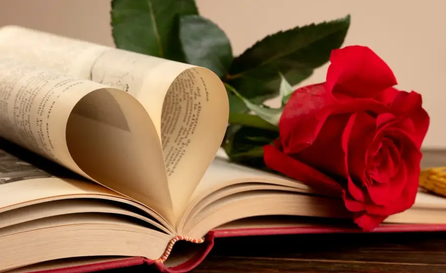 Langage des roses - Maîtrisez la signification des couleurs