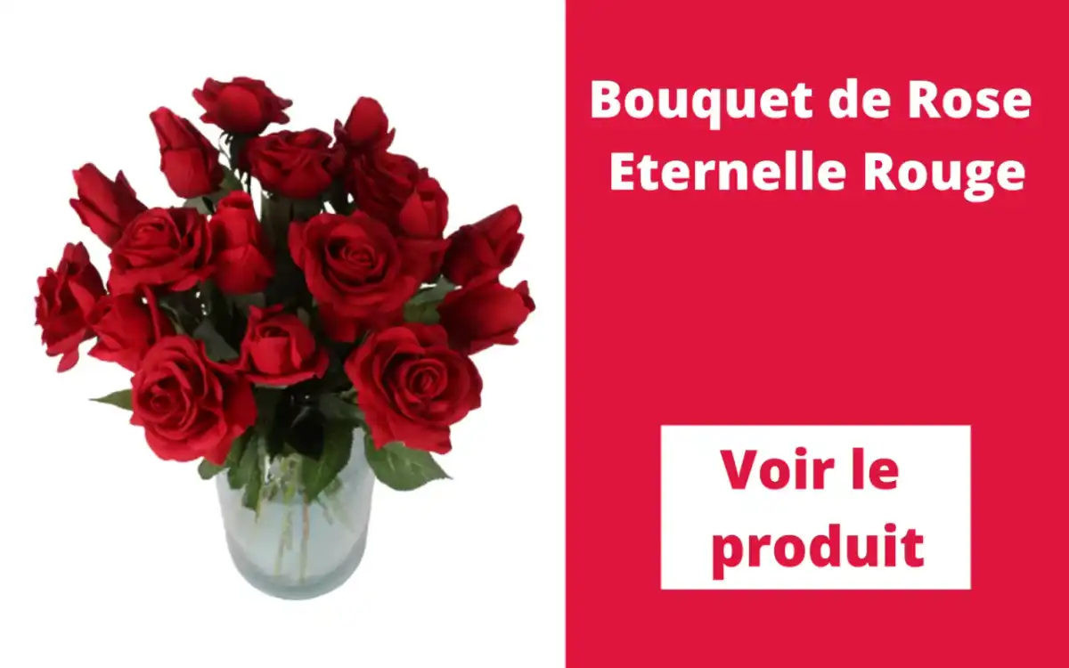 Roses pour s'excuser - Quel nombre choisir ?