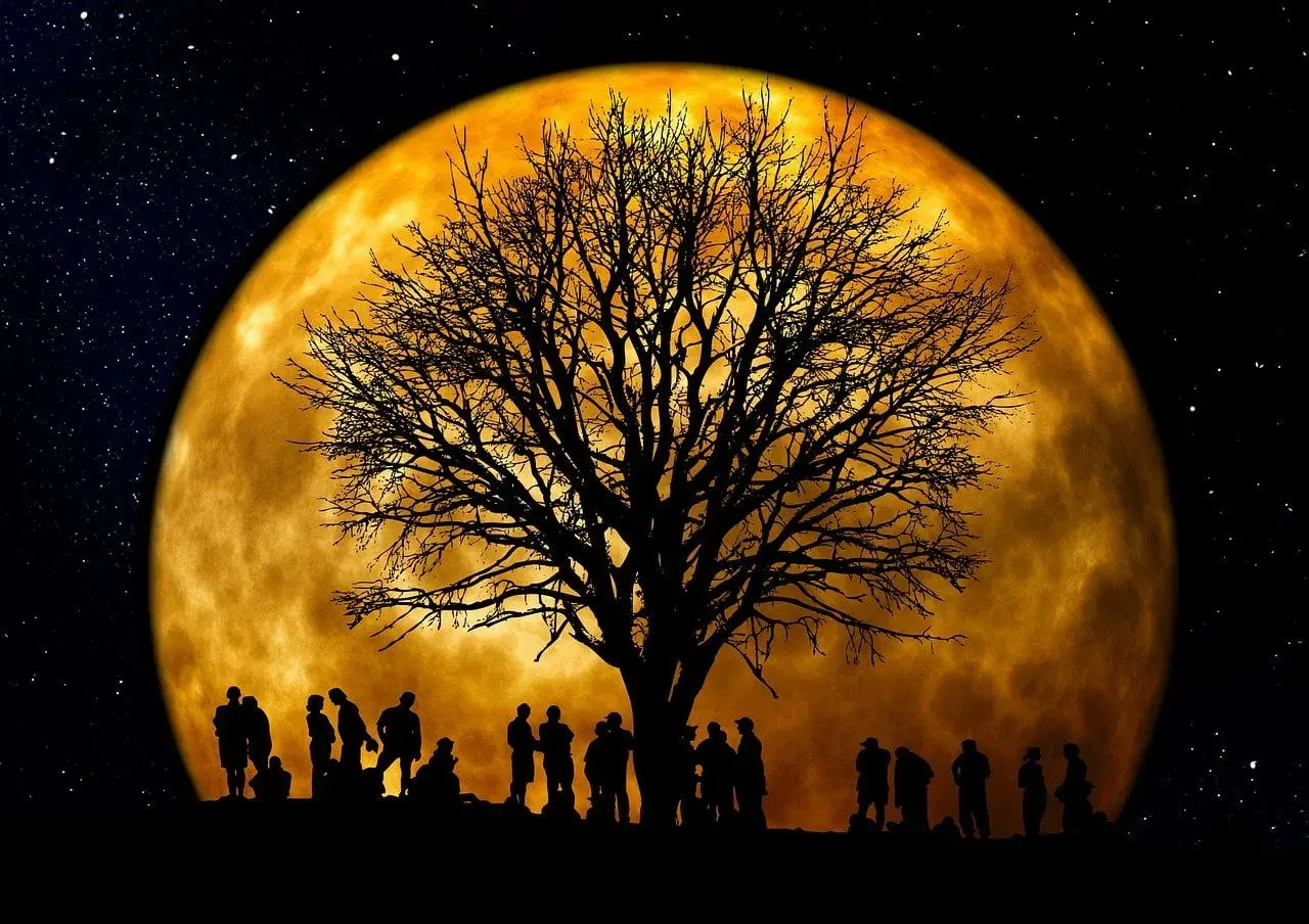 Silhouettes de personnes sous un arbre nu, devant une immense lune orangée. Une scène mystique pour jardiner avec la lune.