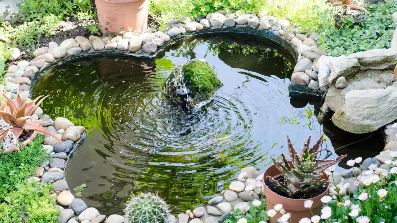 Une petite fontaine moussue anime ce bassin extérieur. Une belle idée aménagement bassin extérieur avec des galets et des plantes succulentes.