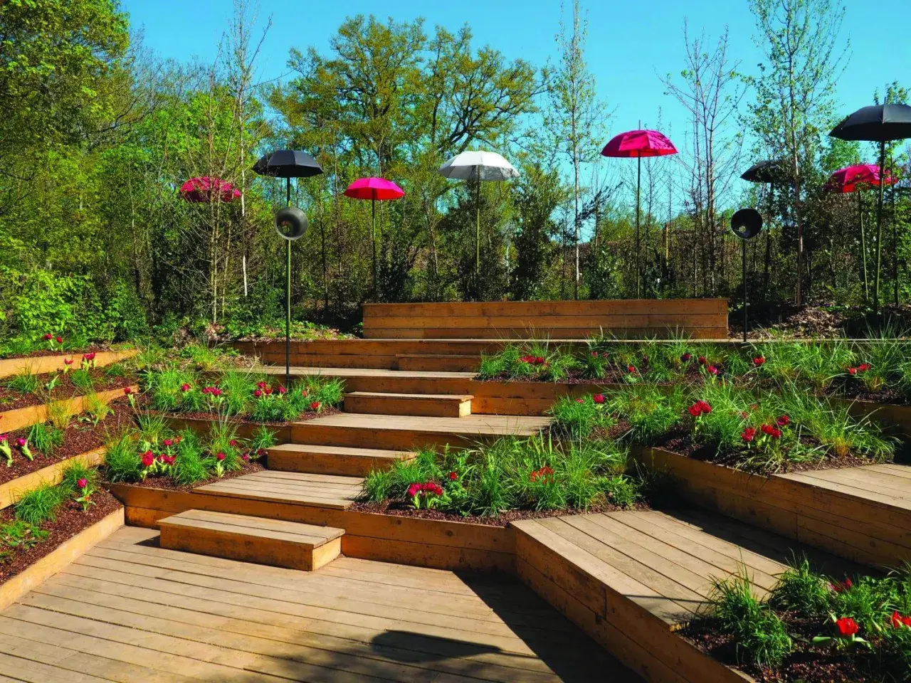 Aménagement d'une butte de terre en pente avec des terrasses en bois, des tulipes rouges et des parasols colorés.