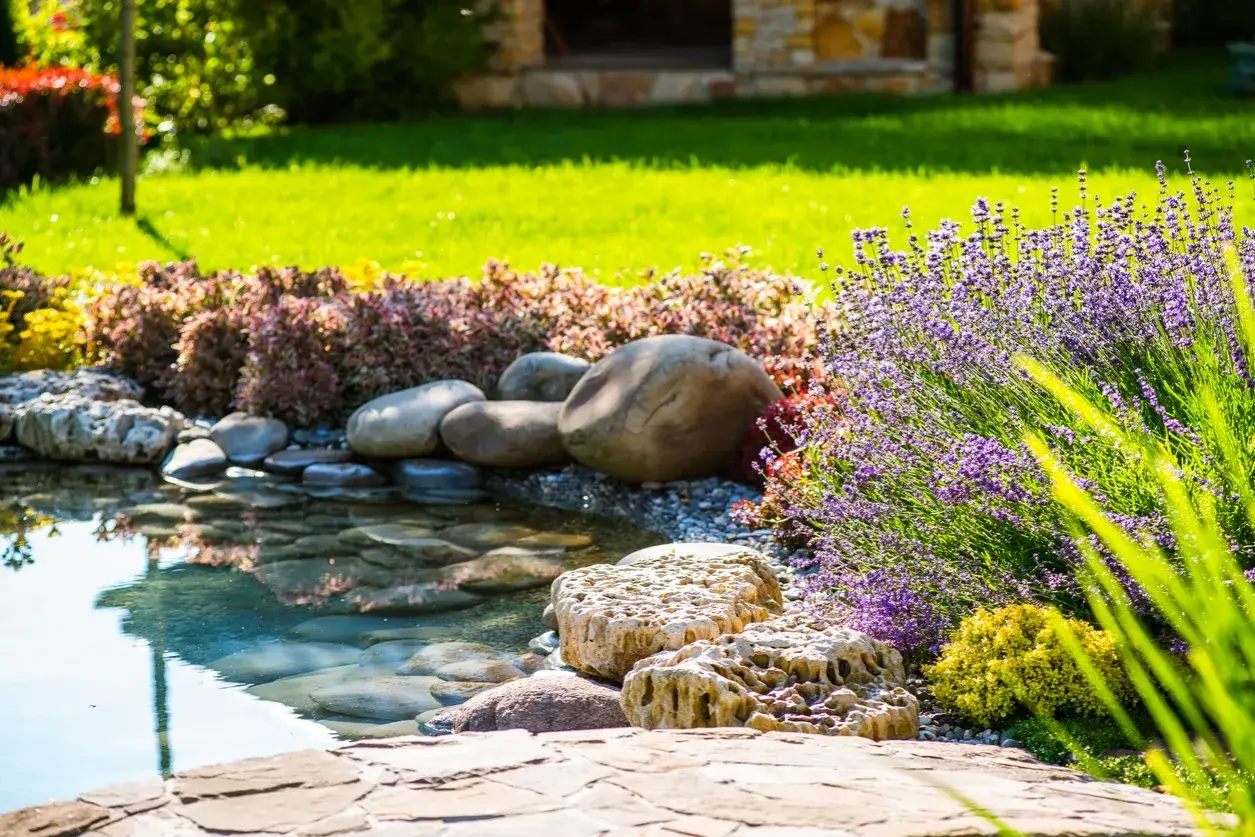 Un bassin ext&eacute;rieur avec des galets, de la lavande et des plantes color&eacute;es. Une belle id&eacute;e am&eacute;nagement bassin ext&eacute;rieur pour un jardin paisible.