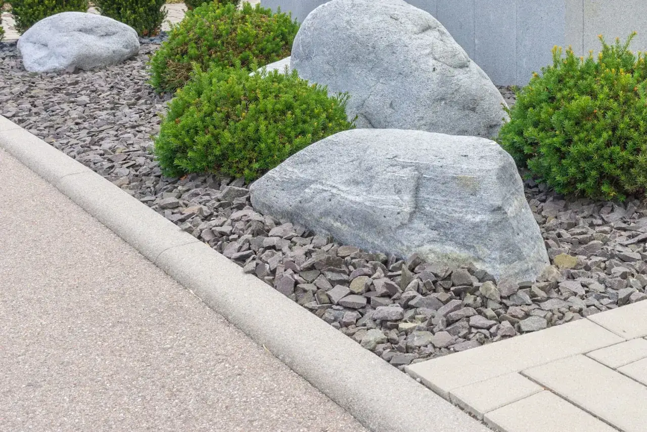 Aménagement paysager moderne avec des rochers, des arbustes et une pose de bordure béton délimitant une allée.