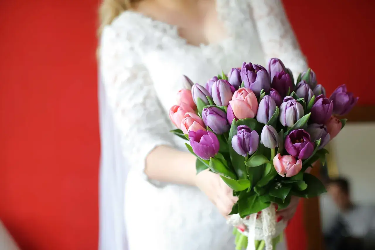 Un bouquet de tulipes violettes et roses, symbolisant la royaut&eacute; et la passion, est tenu par une mari&eacute;e en robe blanche devant un fond rouge vif.