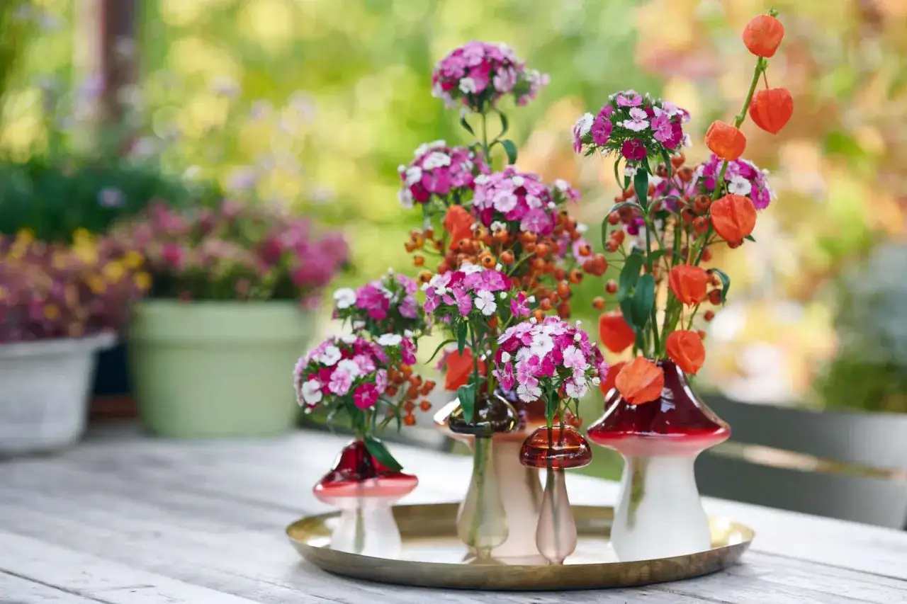 Bouquet de fleurs roses et blanches, avec des baies orang&eacute;es et des lanternes chinoises, dans des vases en forme de champignon. L'oeillet, nom latin Dianthus, est une fleur embl&eacute;matique.