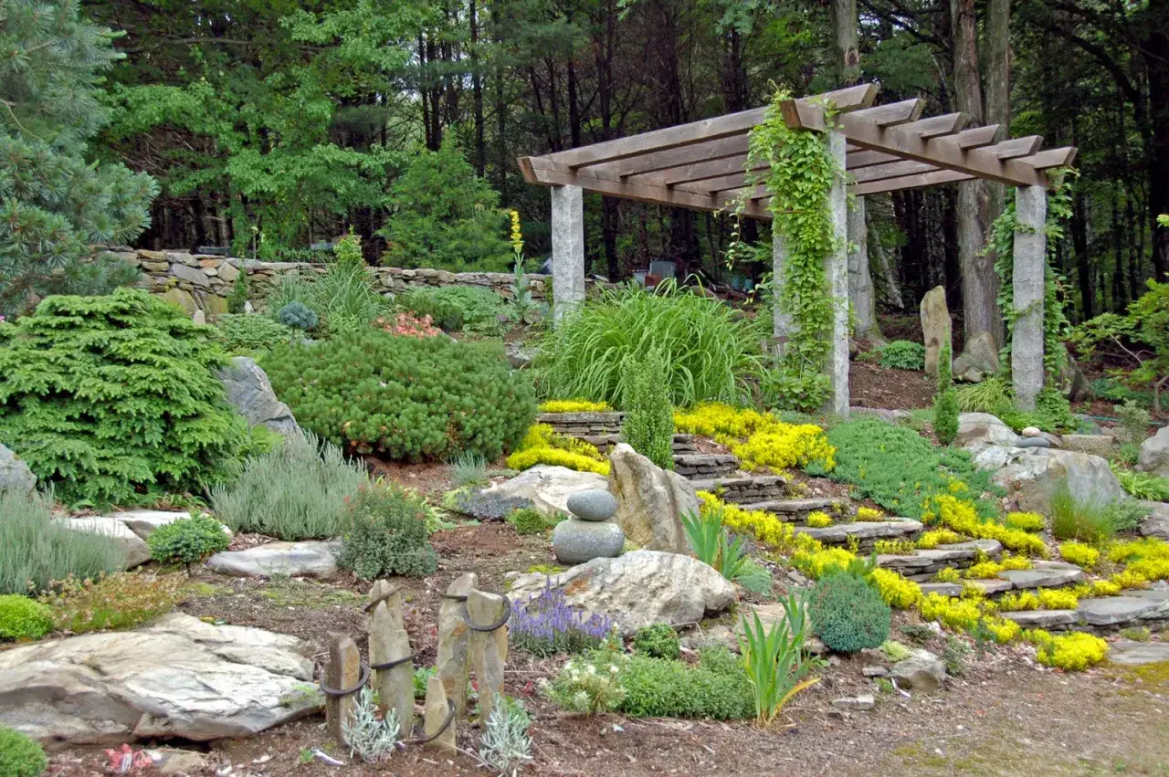 Un magnifique jardin rocaille avec des pierres, des plantes vertes et des fleurs jaunes &eacute;clatantes menant &agrave; une pergola.
