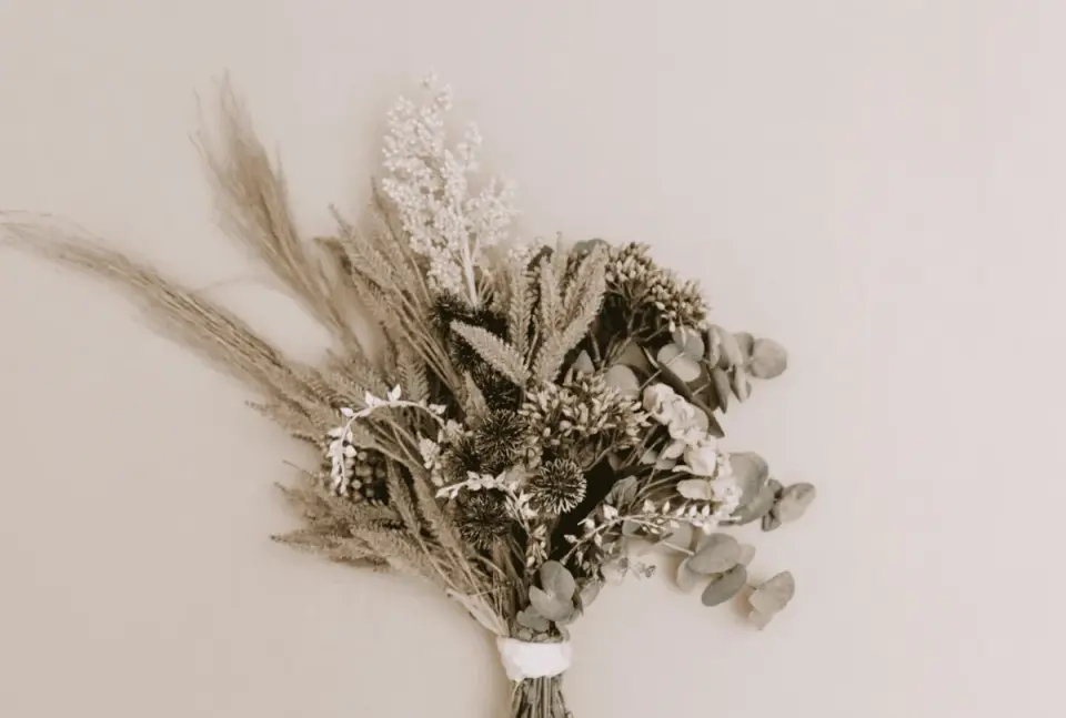 Comment faire sécher des fleurs et réussir son bouquet